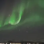 Hiet- Arctic In The Norwegian Forrest! Dom wakacyjny *
