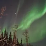 Hiet- Arctic In The Norwegian Forrest! Tromsø