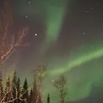 Hiet- Arctic In The Norwegian Forrest!