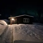 Hiet- Arctic In The Norwegian Forrest! *