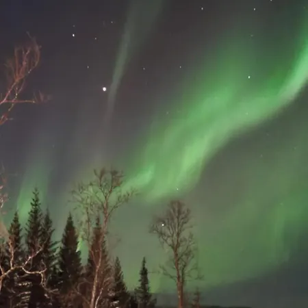 Hiet- Arctic In The Norwegian Forrest! ترومسو