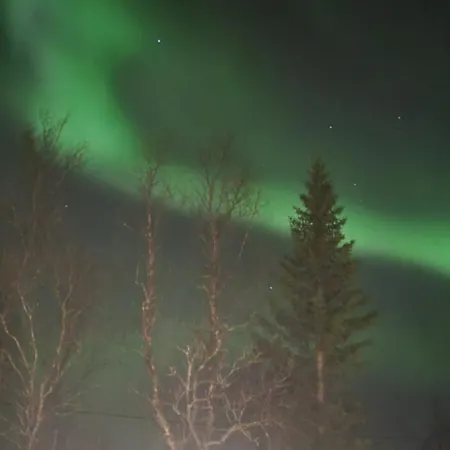 Hiet- Arctic In The Norwegian Forrest! *
