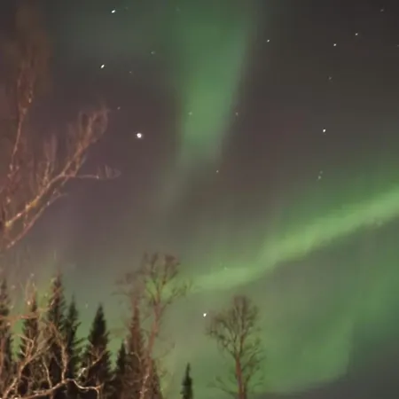 Hiet- Arctic In The Norwegian Forrest!