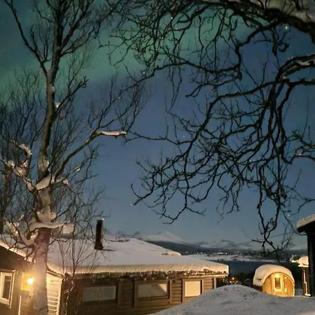 Hiet- Arctic In The Norwegian Forrest!