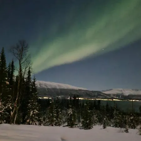 Hiet- Arctic In The Norwegian Forrest! *
