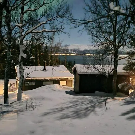Hiet- Arctic In The Norwegian Forrest! ترومسو