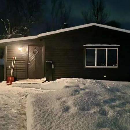 Hiet- Arctic In The Norwegian Forrest!