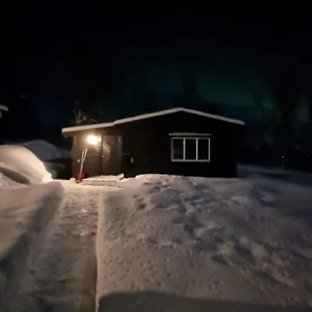 Hiet- Arctic In The Norwegian Forrest! *