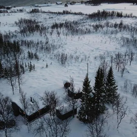 Hiet- Arctic In The Norwegian Forrest! *