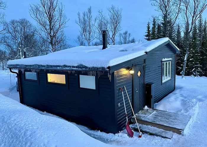 Hiet- Arctic In The Norwegian Forrest! * 트롬쇠